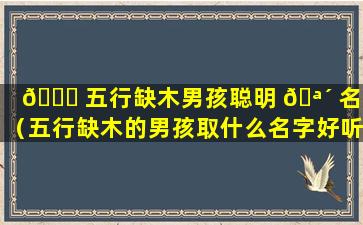 🐋 五行缺木男孩聪明 🪴 名字（五行缺木的男孩取什么名字好听）